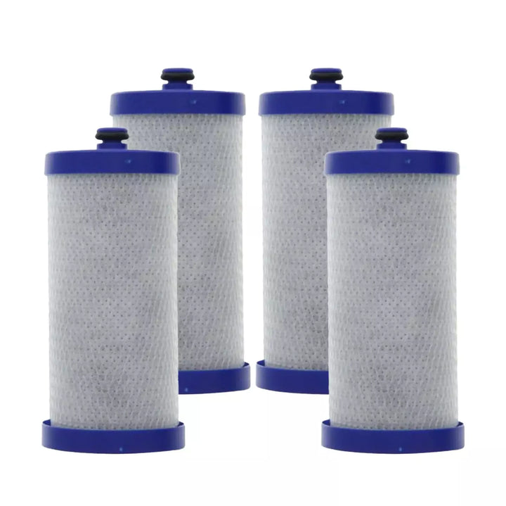 Frigidaire PureSource Refrigeraator Ice & Water Filter RG-100 WF1CB - Refrigerator Filter Store